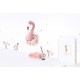 Vaikiškas plakatas. Flamingo plunksna